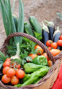 2133146467cistell inicial